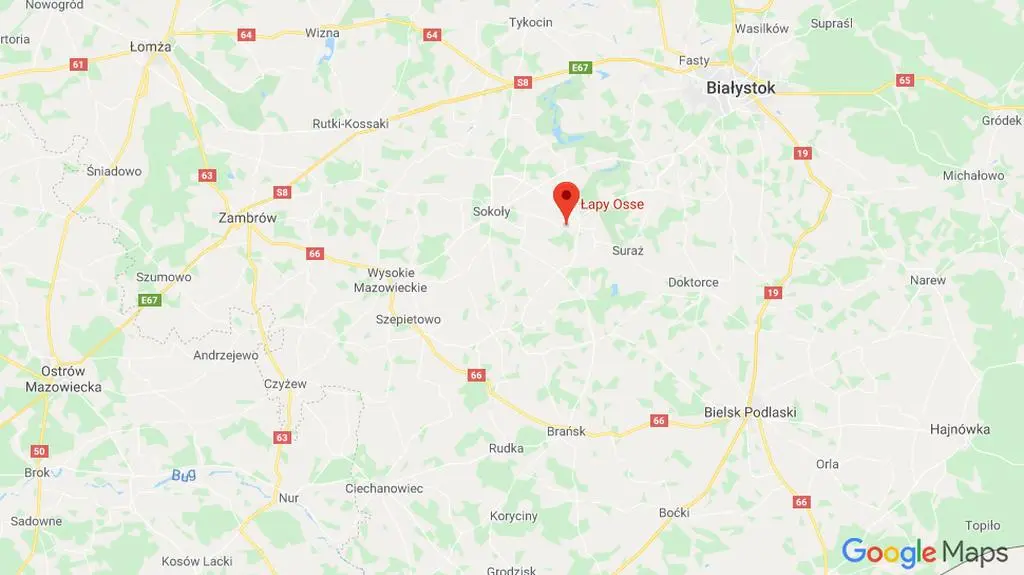 W tym miejscu policjanci znaleźli psa we wnykach