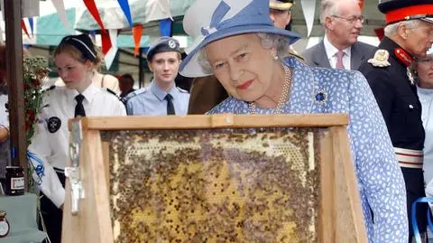 Pszczoły z Pałacu Buckingham zostały poinformowane o śmierci królowej. To wielowiekowa tradycja