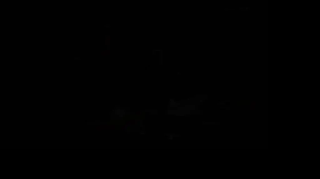 Life from Woods I 4_