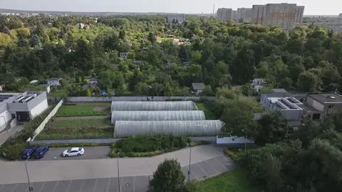 Klatka kluczowa-704123
