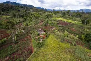 Wioska w prowincji Eastern Highlands