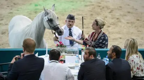 Zamieszanie z licytacją Emiry. Wiceszef ANR tłumaczy