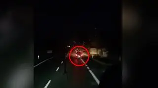 Kierowca wjeżdżał na pobocze 