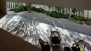 Studio SC w Sao Paulo