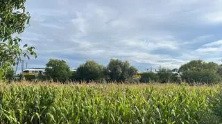 "Dziecko wbiegło pod pociąg, matka chciała je powstrzymać". Oboje nie żyją