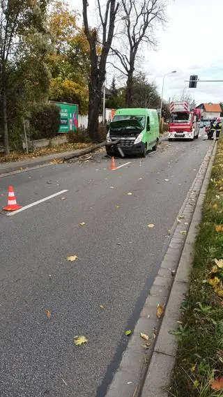 Wrocław - konar spadł na busa, ranny kierowca, wybita szyba