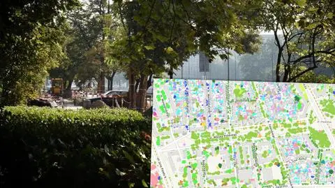 Informacje o wycinkach trafią do internetu. Szukają balansu między ekologią a bezpieczeństwem