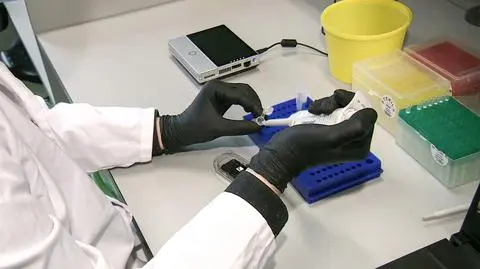 Brytyjska odmiana koronawirusa w Gdańsku