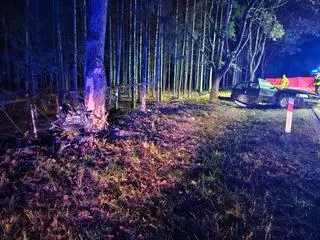 Auto uderzyło w drzewo