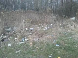 Odpady w lesie