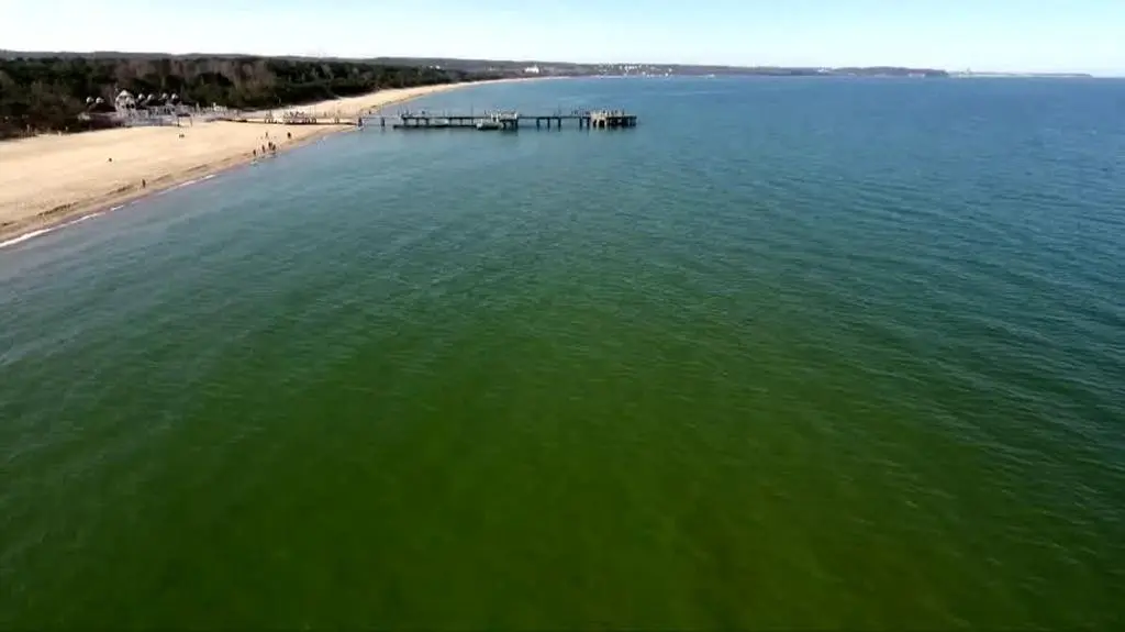 0306N395XRR PIS DNZ PIESTRZYNSKA