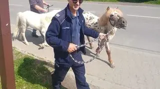 Policjanci zajechali im drogę