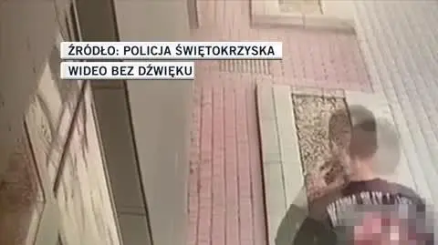 policja