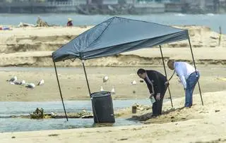 Zwłoki w beczce znalezione na plaży Malibu Lagoon