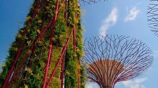 Gardens by the Bay