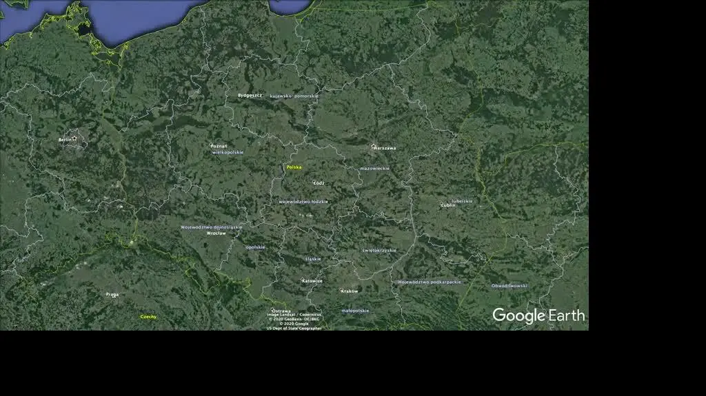 gorzyca