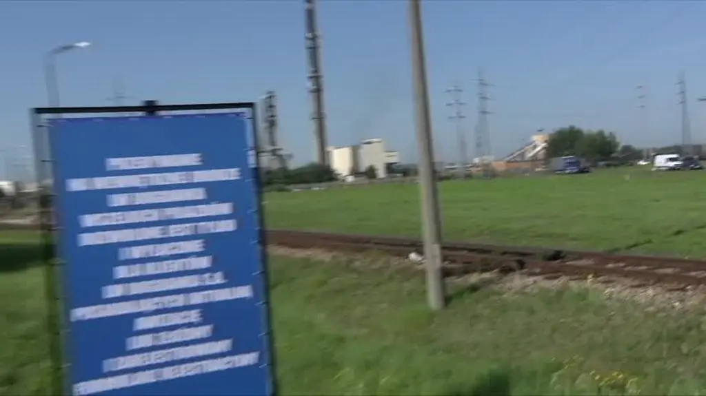 lajf skład 2