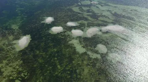 Polskie "Malediwy" powstały przez przypadek i niedługo znikną