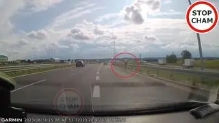 Biegacz na drodze ekspresowej S51