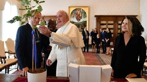 Tusk spotkał się z papieżem. Podarował mu dąb z Polski