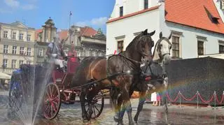 Dodatkowa atrakcja dla turystów 