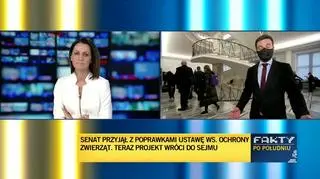 Senat przyjął z poprawkami ustawę w sprawie ochrony zwierząt