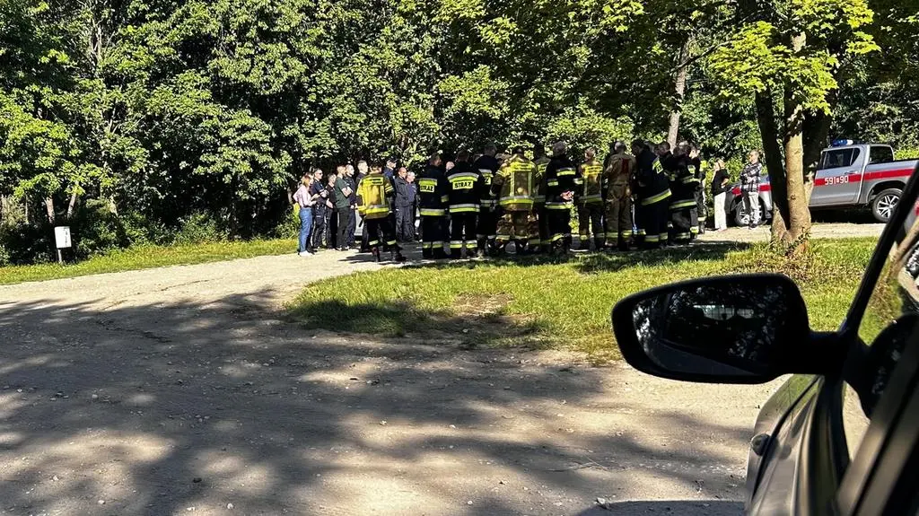 Pięciolatka szukały służby