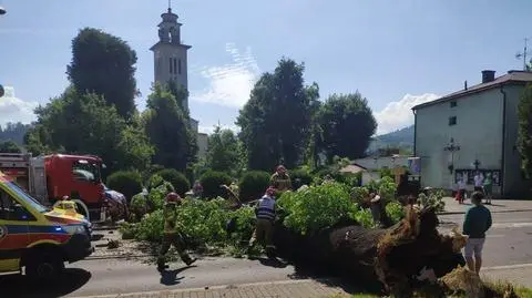 Drzewo przewróciło się na jadące auto
