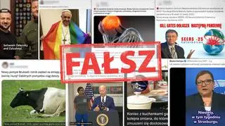 Polacy vs dezinformacja. W jakie fałsze wierzymy, komu ufamy, czego się boimy