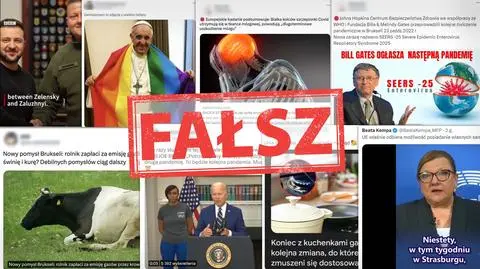 Polacy vs dezinformacja. 2024