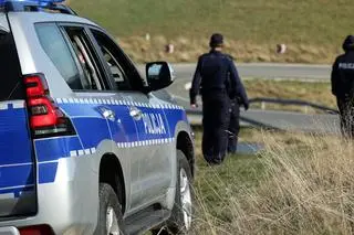Policja przeczesywała okoliczne pola, łąki i lasy (zdjęcie ilustracyjne) 