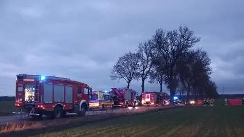Kobieta i miesięczne dziecko zginęli w wypadku pod Piotrkowem Trybunalskim