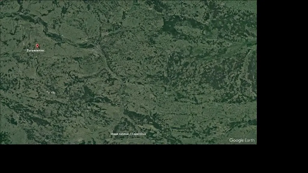 zurawieniec