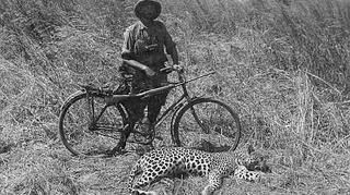 Nowak i upolowany leopard