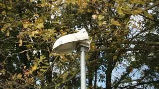 Zniszczono 5 opraw lamp