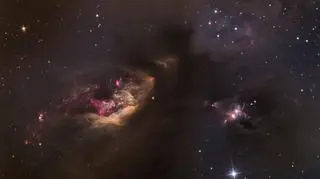 “Celestial Impasto- sh2–239” Adam Block (USA), zwycięzca w kategorii “Deep Space”