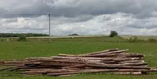 Ukradziony fragment ogrodzenia inscenizacji bitwy pod Grunwaldem