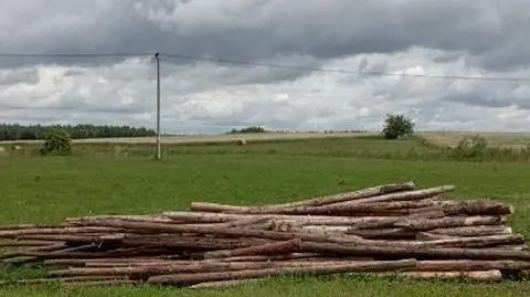 Ukradł ogrodzenie po inscenizacji bitwy pod Grunwaldem. Policja: chciał je wykorzystać na opał