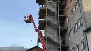 Pies utknął na dachu