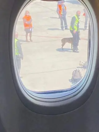 Samolot na lotnisku w Mińsku