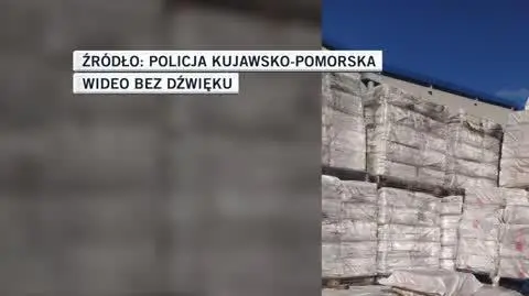 Policja kujawsko pomorska