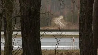 Ciała kobiet znaleziono w Romanowie nieopodal DK 91