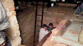 Koń najwyraźniej sam wszedł na klapę piwniczki