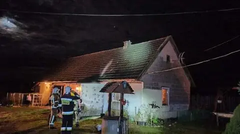 Kaczka siedziała na kominie, nie potrafiła zlecieć na ziemię. Interweniowali strażacy