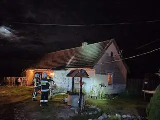 Kaczka siedziała na dachu już od dłuższego czasu 