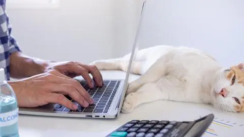 Zmiana w uldze w ZUS dla samozatrudnionych. "Dobrze, że została uwzględniona"