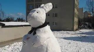 Wcześniej w tym samym miejscu zbudowali 3,5 metrowego bałwana