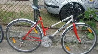 Rower znaleziony w dziupli złodziei