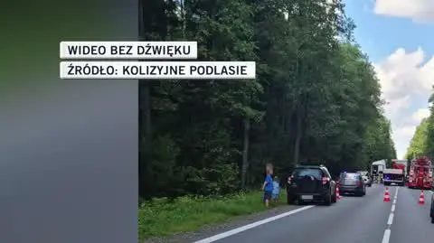 rybniki dla TM