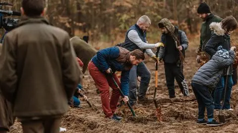 Miało być pole golfowe, będzie las